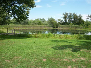 1704 Walnut Hill Road Centralia, IL 62801 - Photo 9 of 11 Gallery Image 9