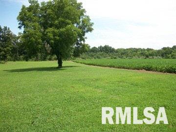 1704 Walnut Hill Road Centralia, IL 62801 - Photo 10 of 11 Gallery Image 10