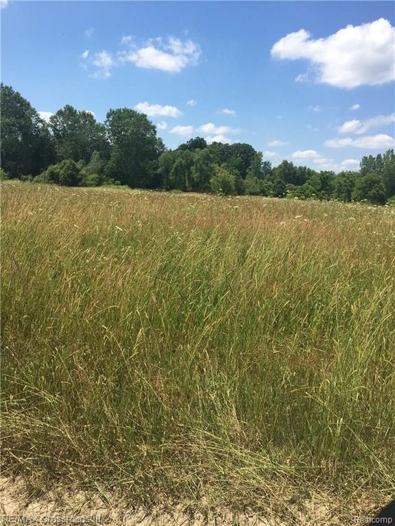 0 McCreery Road Stockbridge, MI 49285 - Photo 1 of 3