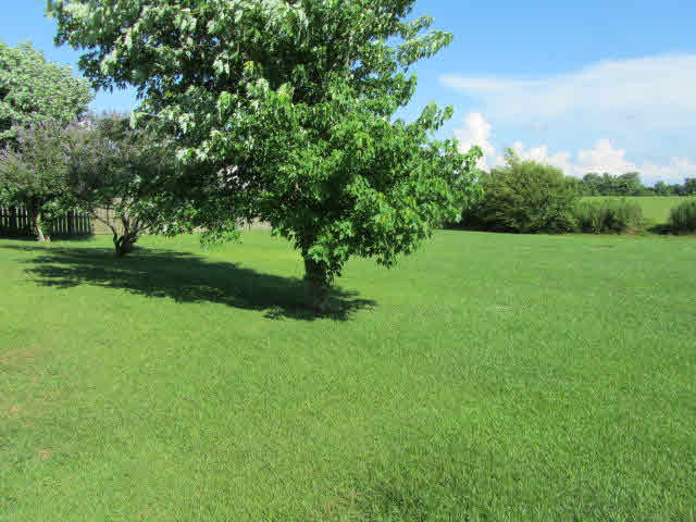 8781 Shannon's Mill Road Foley, AL 36535 - Photo 16 of 17 Backyard