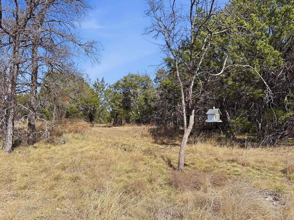 Lot 8-ph Flint Rock Court Road Evant, TX 76525 - Photo 11 of 25 a view of a yard with large trees