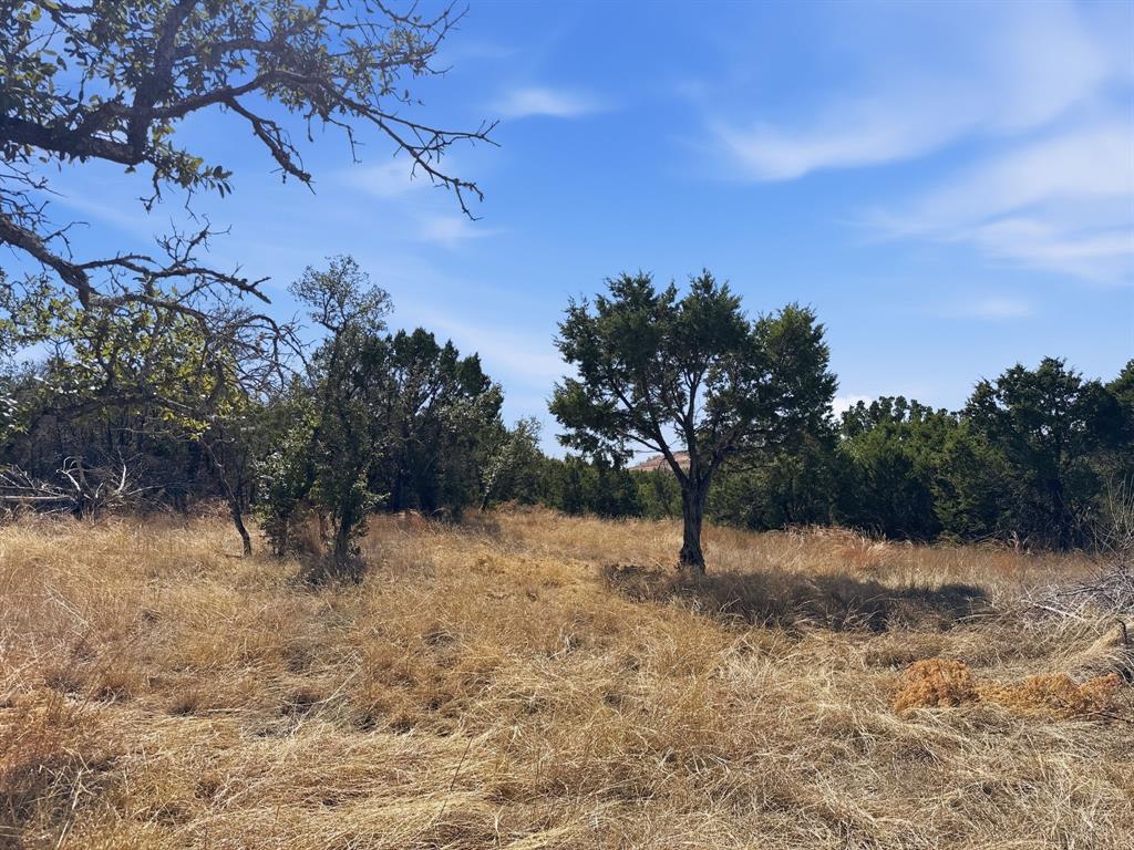 Lot 8-ph Flint Rock Court Road Evant, TX 76525 - Photo 12 of 25 a view of a yard with a tree