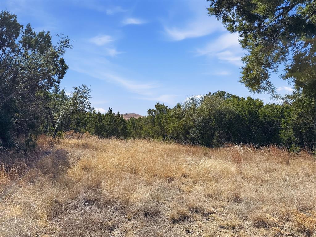 Lot 8-ph Flint Rock Court Road Evant, TX 76525 - Photo 13 of 25 a view of outdoor space with trees all around