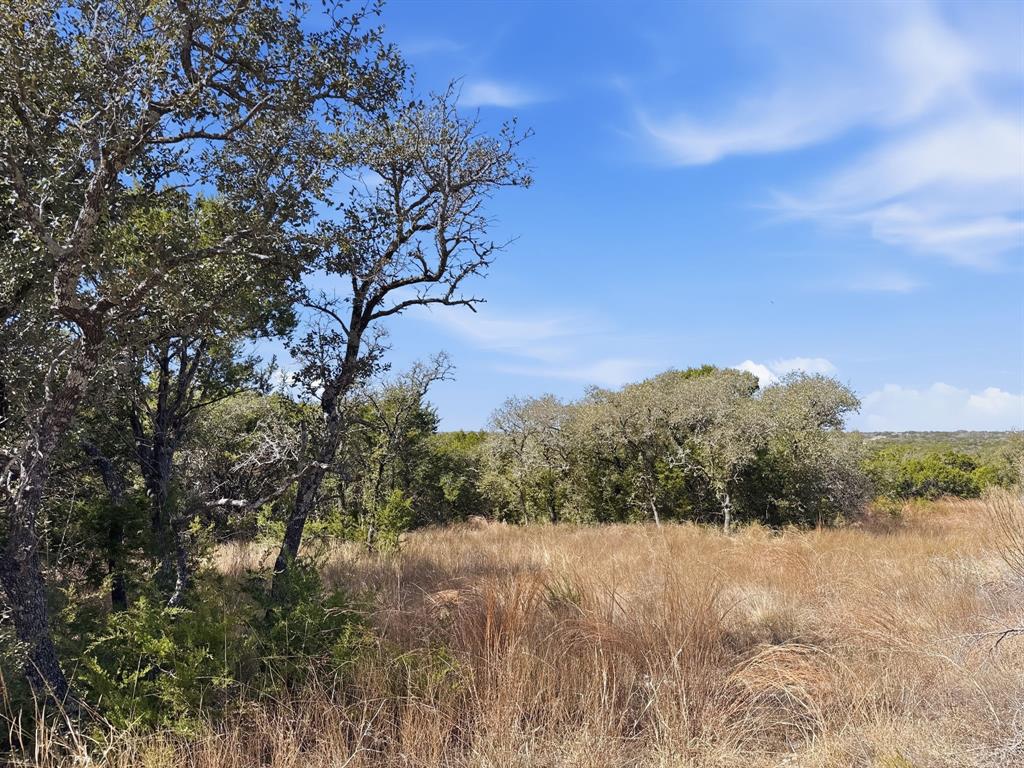 Lot 8-ph Flint Rock Court Road Evant, TX 76525 - Photo 14 of 25 a view of mountain view with lots of trees