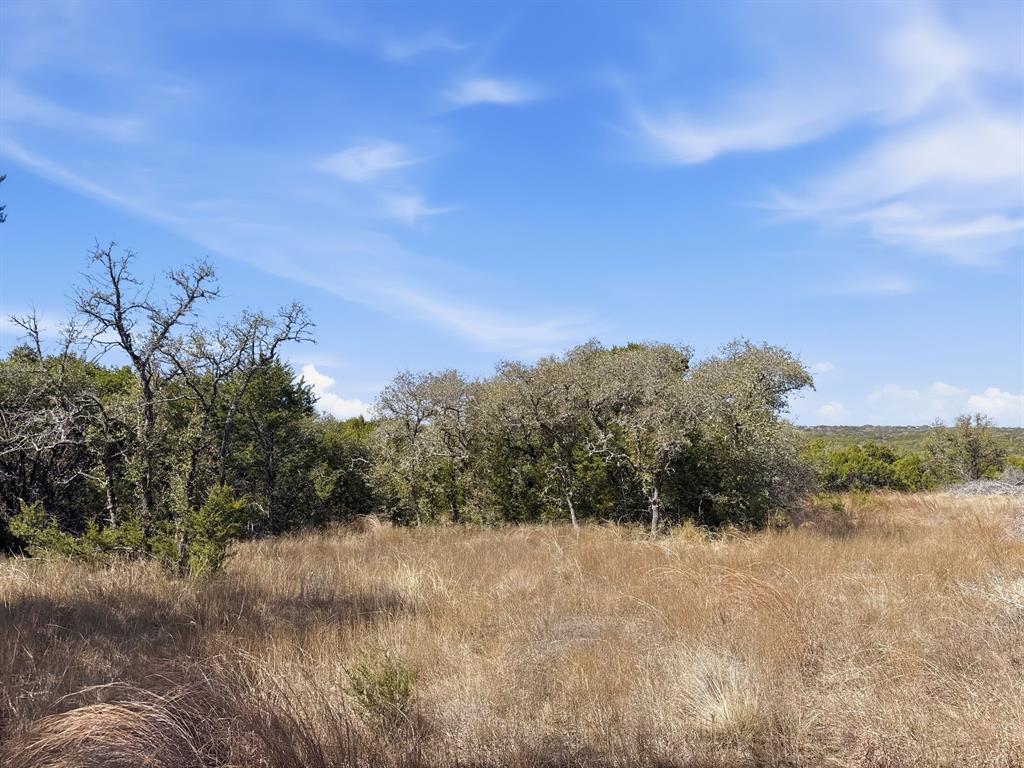 Lot 8-ph Flint Rock Court Road Evant, TX 76525 - Photo 15 of 25 a view of a dry yard with trees
