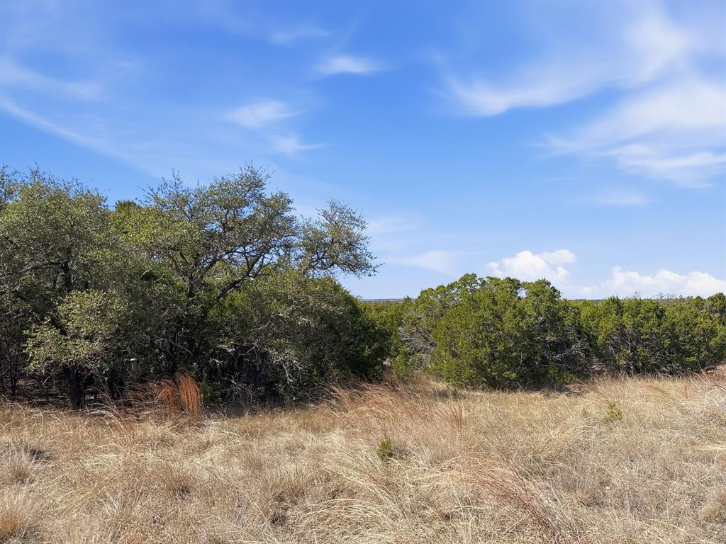 Lot 8-ph Flint Rock Court Road Evant, TX 76525 - Photo 16 of 25 a view of a yard with trees in back