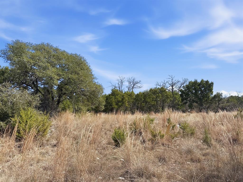 Lot 8-ph Flint Rock Court Road Evant, TX 76525 - Photo 17 of 25 a view of lake with green space