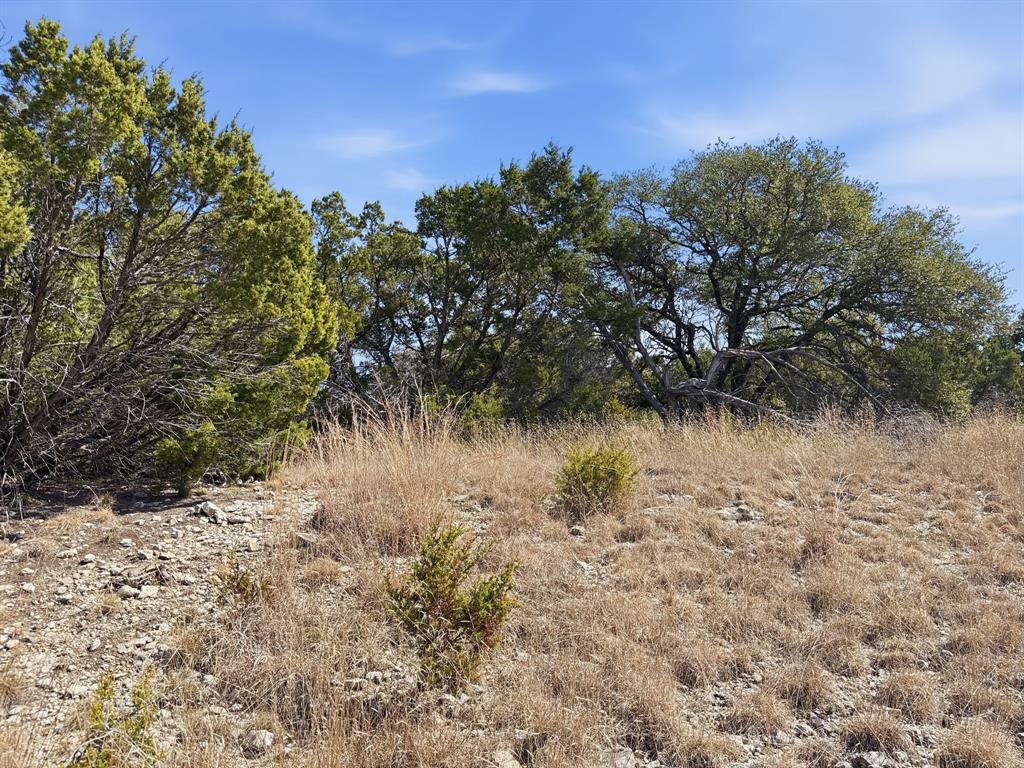 Lot 8-ph Flint Rock Court Road Evant, TX 76525 - Photo 18 of 25 a view of a lake with a tree