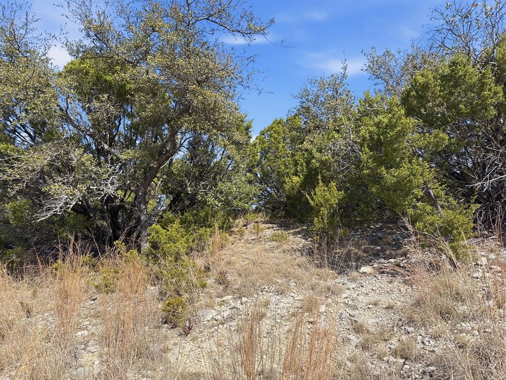 Lot 8-ph Flint Rock Court Road Evant, TX 76525 - Photo 19 of 25 a view of a yard with a tree