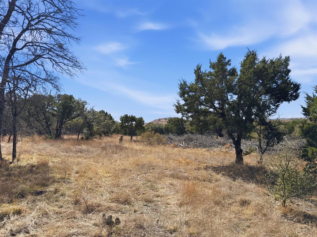 Lot 8-ph Flint Rock Court Road Evant, TX 76525 - Photo 20 of 25 a view of dirt yard with a tree