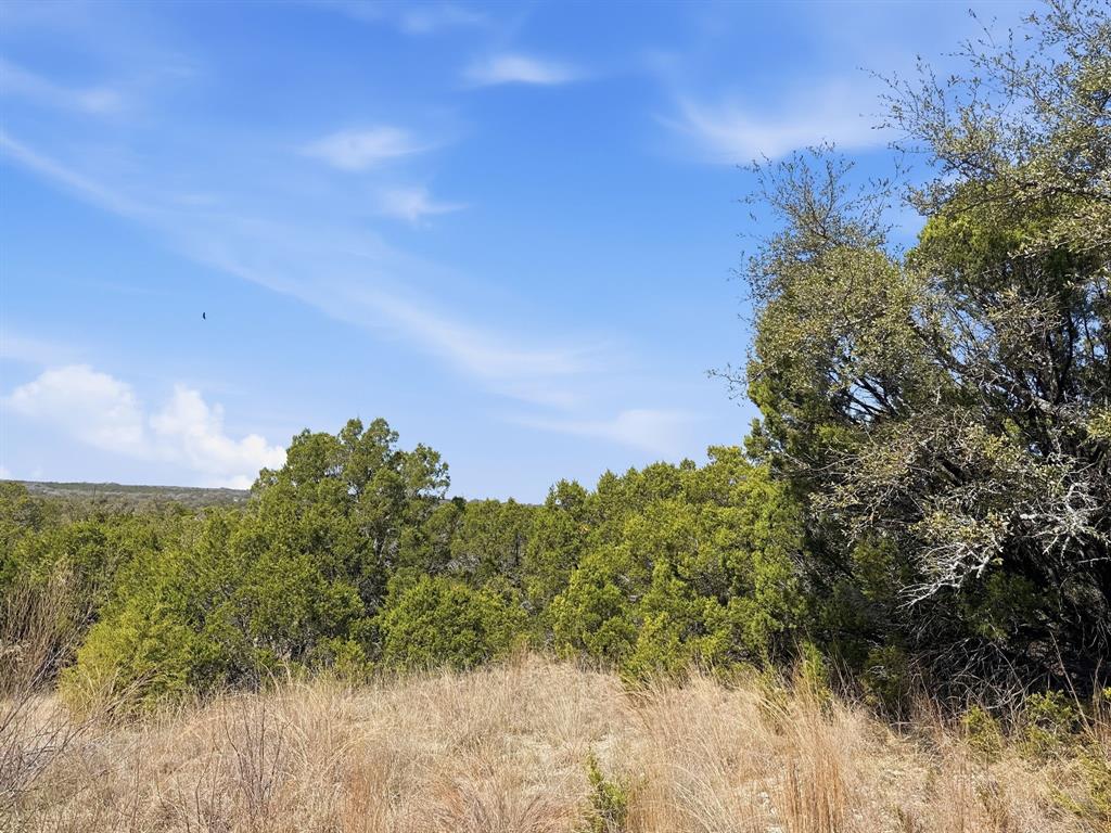 Lot 8-ph Flint Rock Court Road Evant, TX 76525 - Photo 2 of 25 a view of a yard