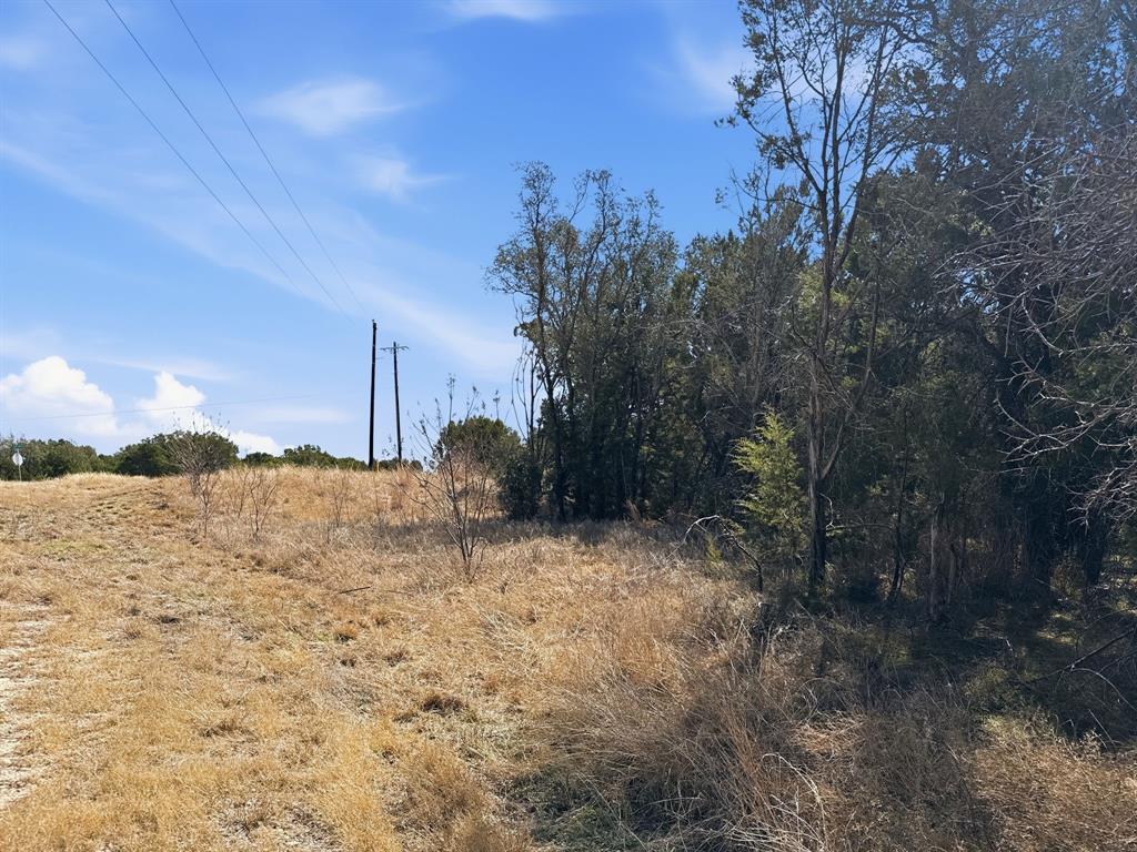 Lot 8-ph Flint Rock Court Road Evant, TX 76525 - Photo 21 of 25 a view of a dry yard covered with trees