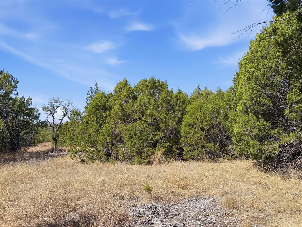 Lot 8-ph Flint Rock Court Road Evant, TX 76525 - Photo 22 of 25 a view of a yard with a tree