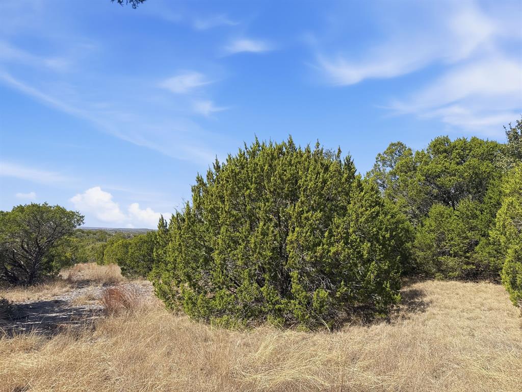 Lot 8-ph Flint Rock Court Road Evant, TX 76525 - Photo 23 of 25 a view of a yard
