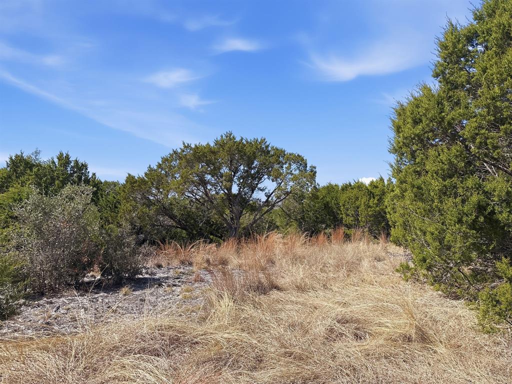 Lot 8-ph Flint Rock Court Road Evant, TX 76525 - Photo 4 of 25 a view of a yard with a tree