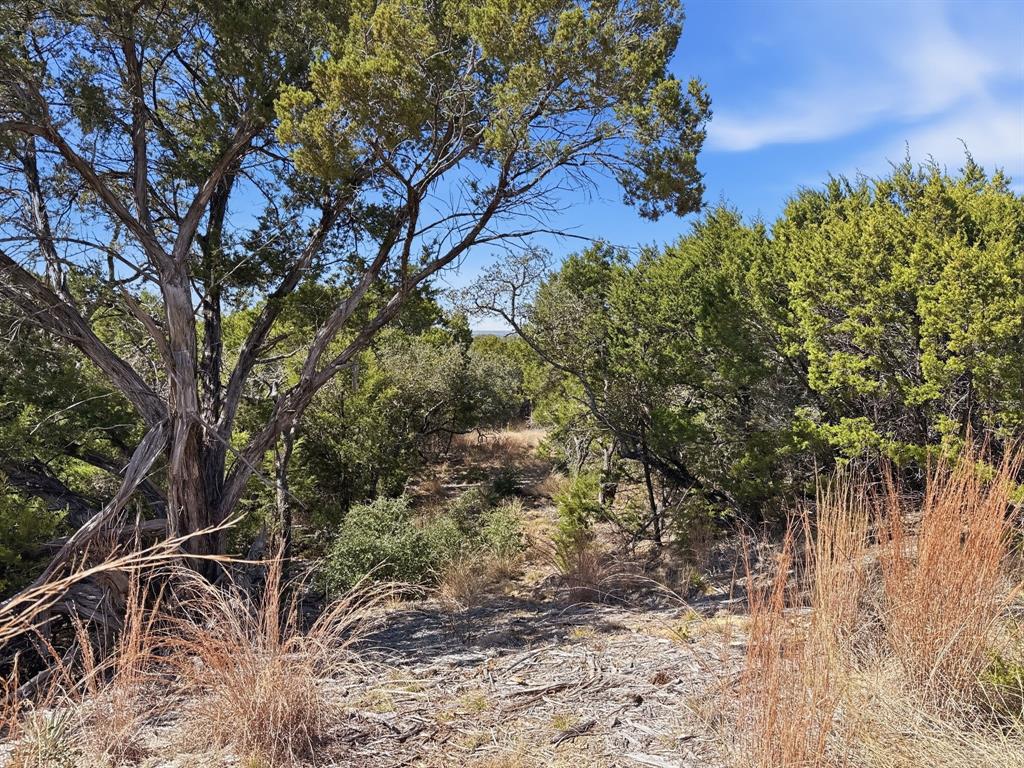 Lot 8-ph Flint Rock Court Road Evant, TX 76525 - Photo 5 of 25