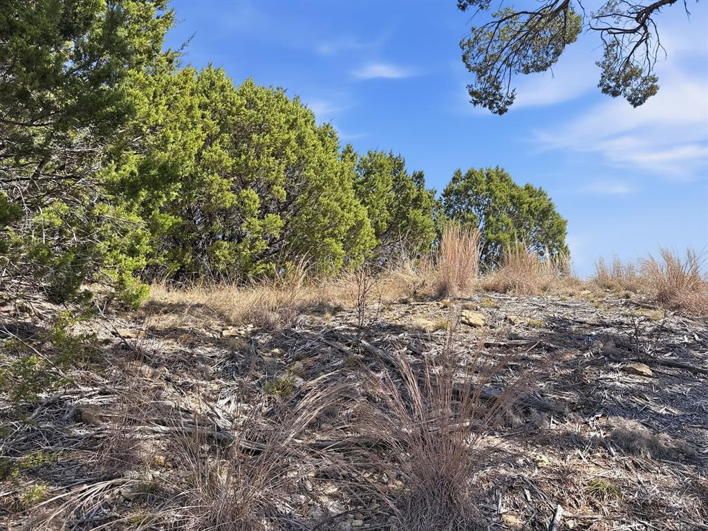 Lot 8-ph Flint Rock Court Road Evant, TX 76525 - Photo 6 of 25 a view of a yard