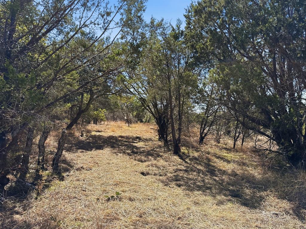 Lot 8-ph Flint Rock Court Road Evant, TX 76525 - Photo 8 of 25 a view of snow covered with trees