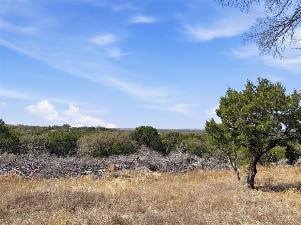 Lot 8-ph Flint Rock Court Road Evant, TX 76525 - Photo 10 of 25 a view of a field with trees in background