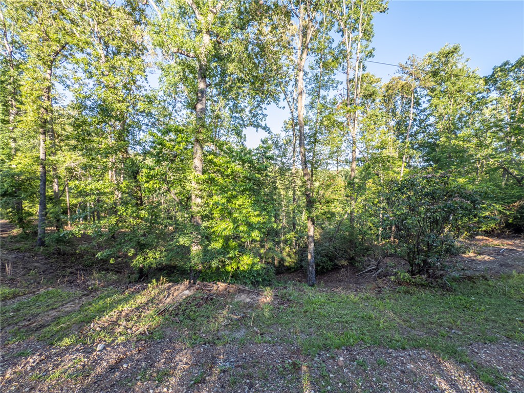 Lot 21 Old Shallowford Bridge Road Sunset, SC 29685 - Photo 4 of 14
