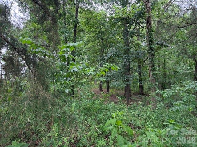 8838 Morgan Mill Road Monroe, NC 28110 - Photo 7 of 8 a view of a forest with trees
