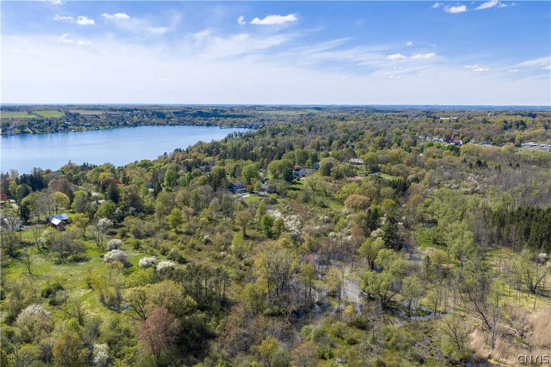 East Lake Road Skaneateles, NY 13152 - Photo 4 of 9