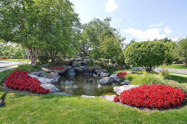 a view of backyard with outdoor and green space