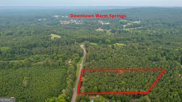 a view of a flower garden