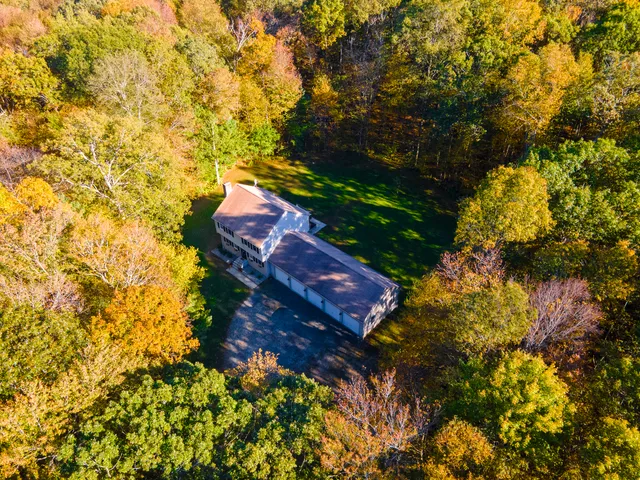 a view of a tree with a yard