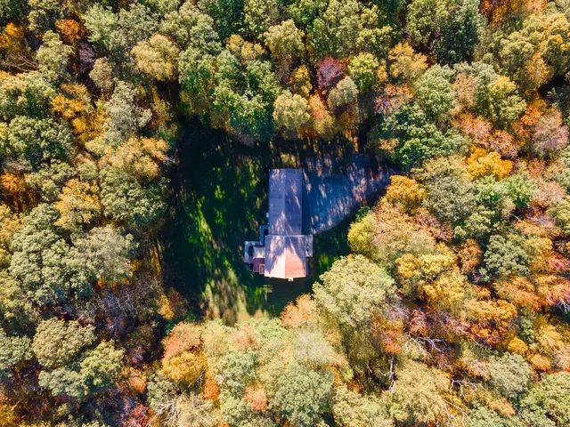 a view of a yard with plants