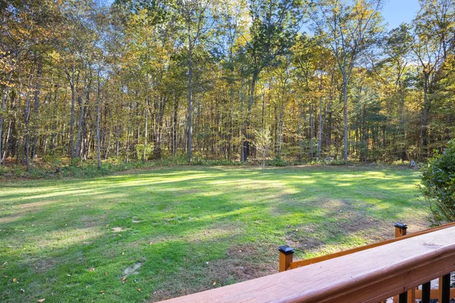a view of a park with large trees