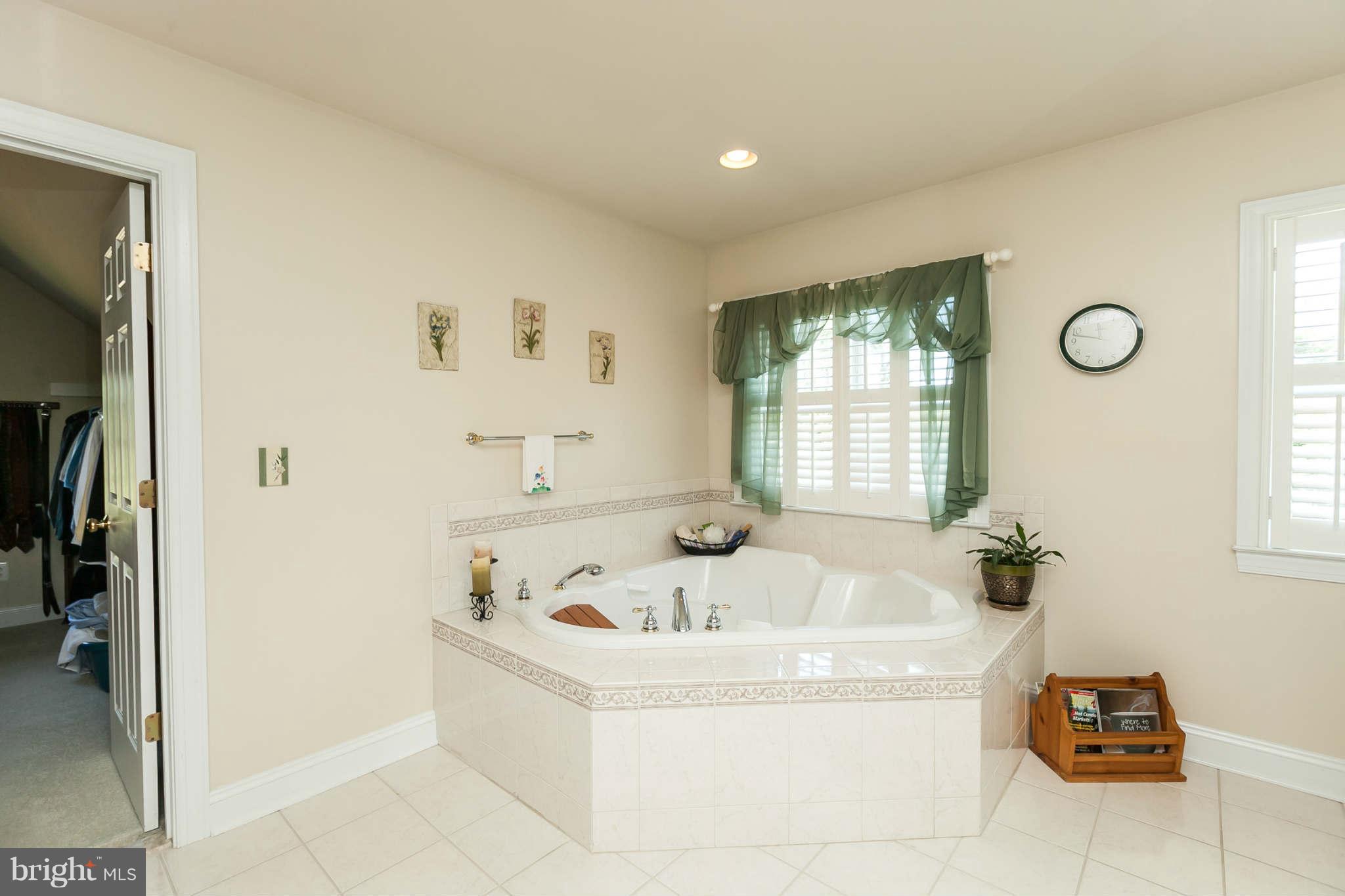 1231 Arnold Road Westminster, MD 21157 - Photo 23 of 30 Bath (Master)