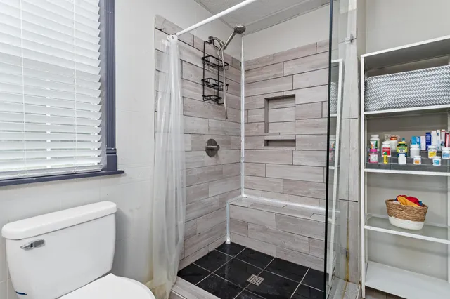 a bathroom with a shower and a toilet