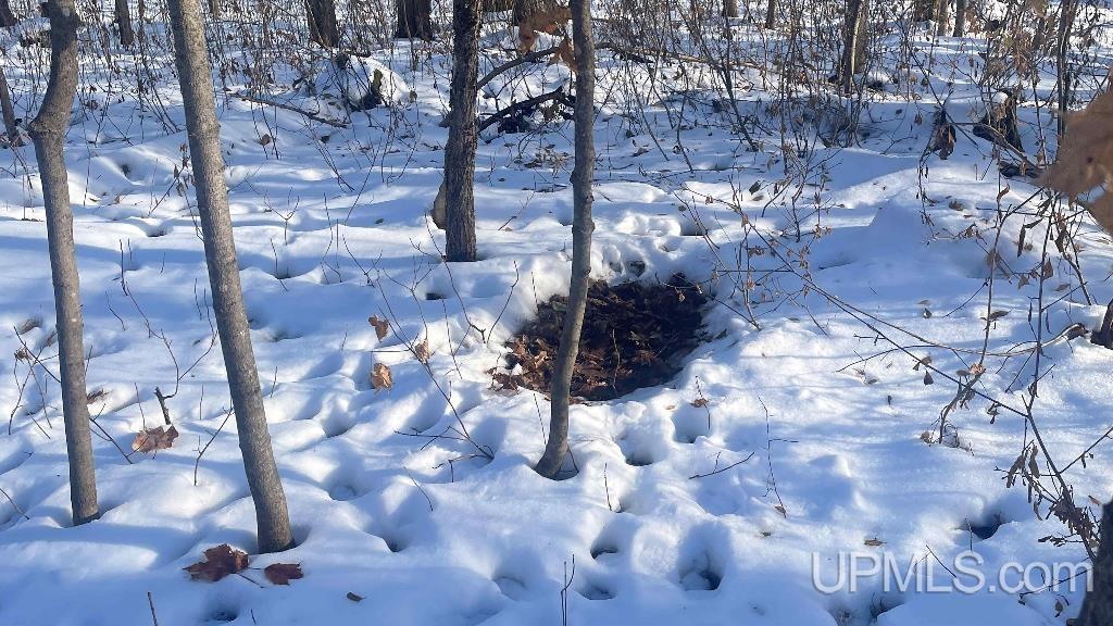 1380 Hill Road Wakefield, MI 49968 - Photo 24 of 24 Gallery Image 24