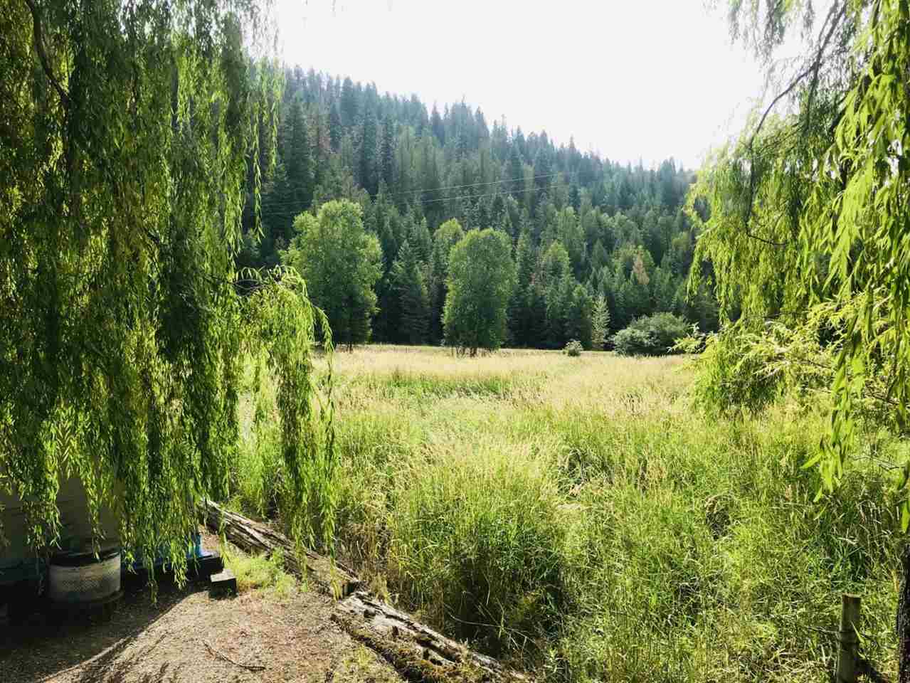 3543 Deep Lake Boundary Road Colville, WA 99114 - Photo 7 of 20 Gallery Image 7