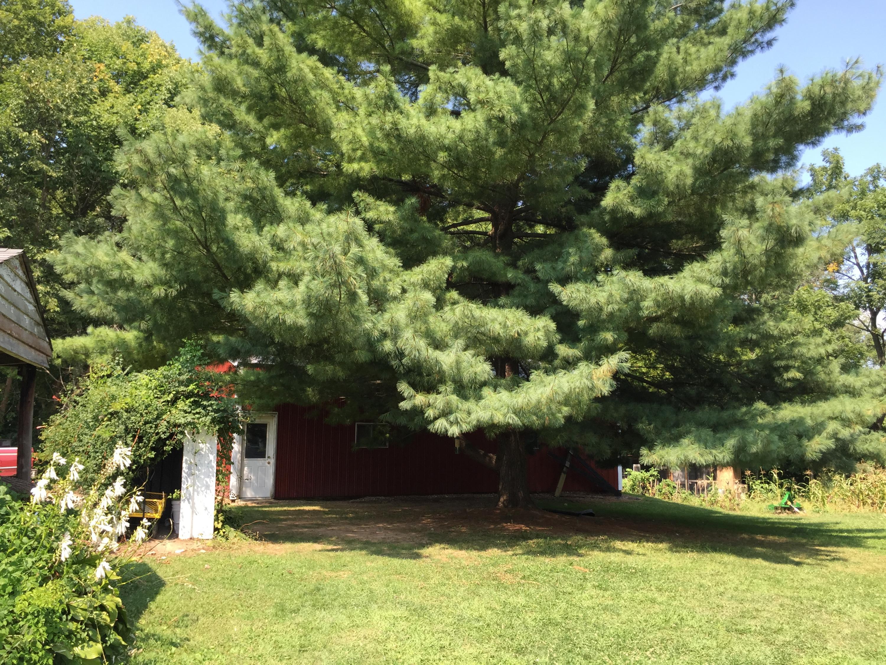 87 East Mt Pleasant Road Wilmington, OH 45177 - Photo 13 of 26