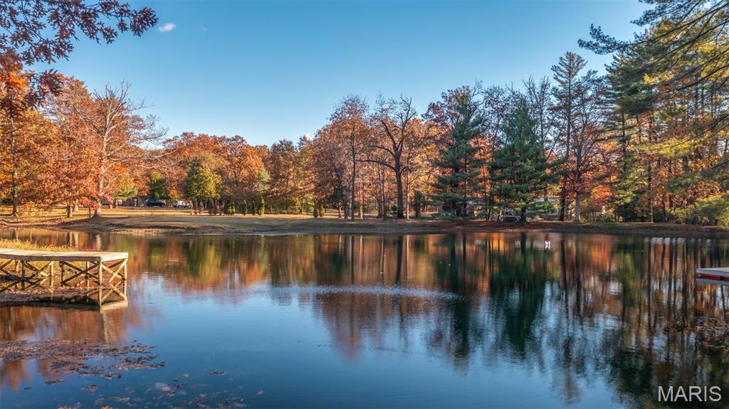 20267 Tall Timber Road Staunton, IL 62088 - Photo 7 of 26