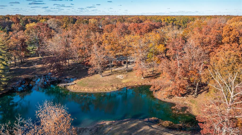 20267 Tall Timber Road Staunton, IL 62088 - Photo 8 of 26