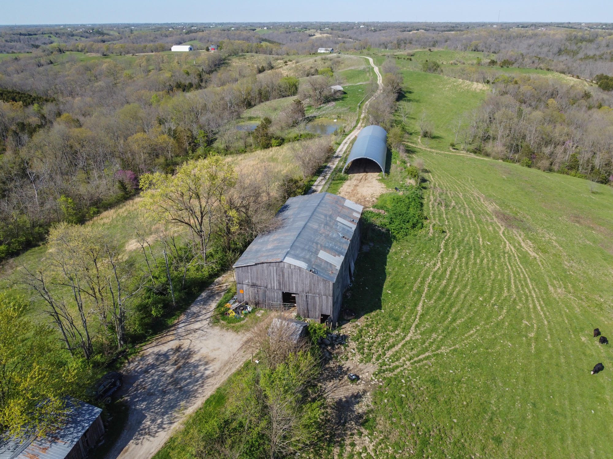 214-acres Keefer Road Corinth, KY 41010 - Photo 8 of 39 Keefer-18
