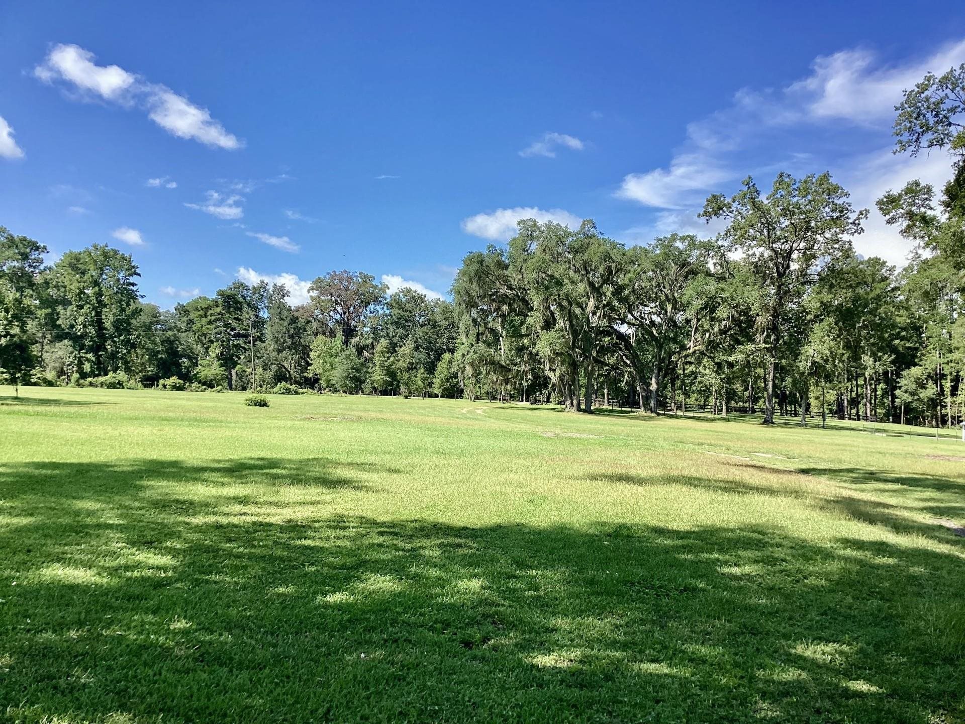 339 Silver Lake Road Monticello, FL 32344 - Photo 34 of 41