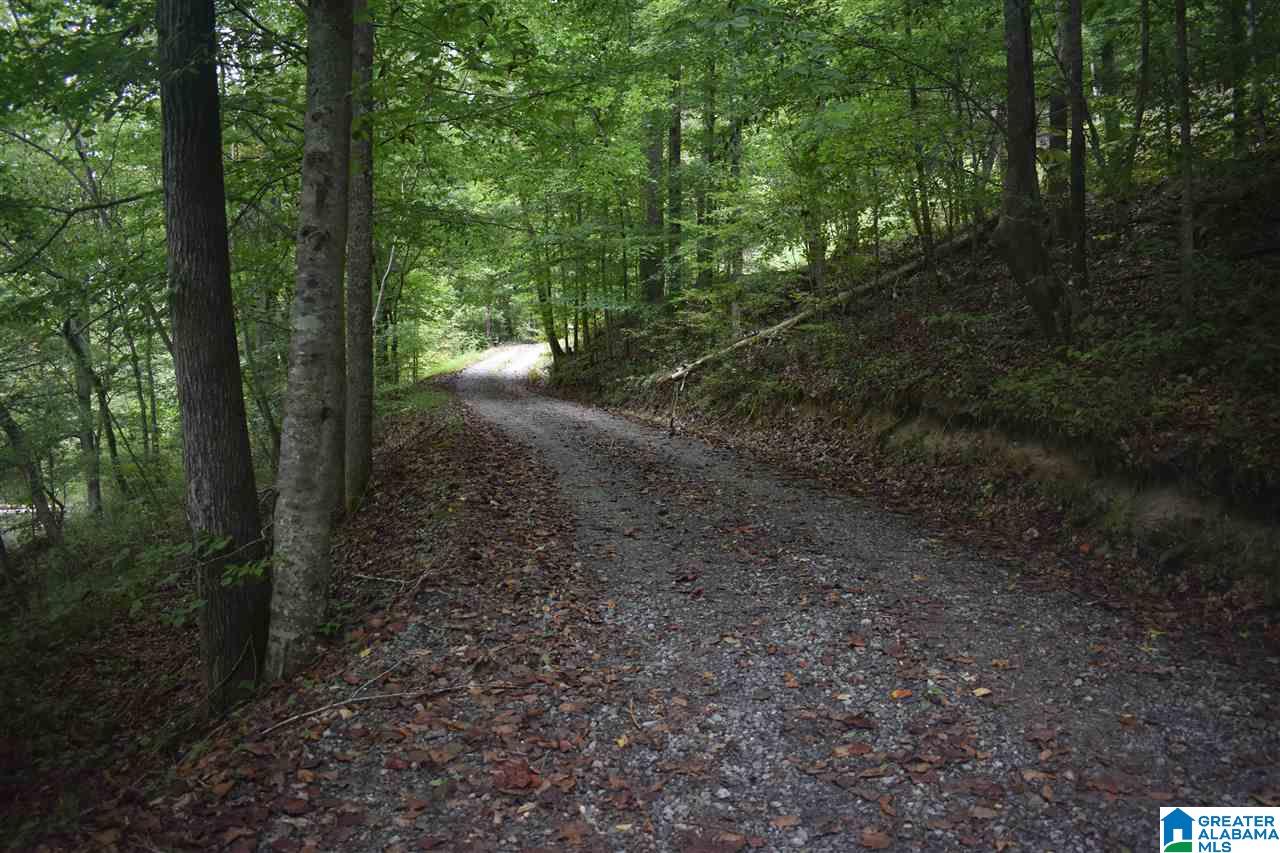 700 Fred Walker Road Remlap, AL 35133 - Photo 7 of 49