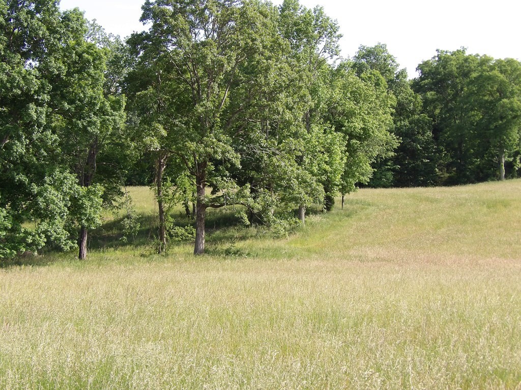 1030 Big Neck Road Grandview, TN 37337 - Photo 8 of 54 Gallery Image 8