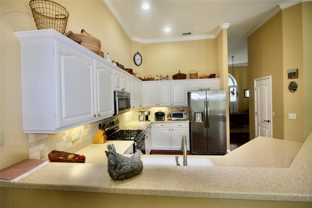 9035 Laurel Ridge Drive Mount Dora, FL 32757 - Photo 6 of 40