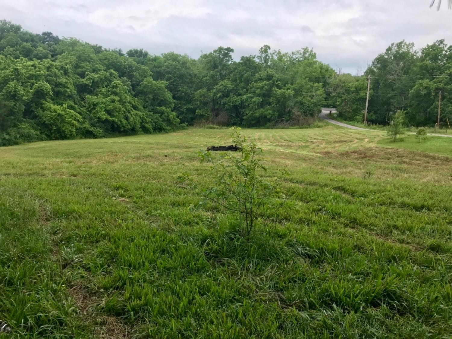 786 Richmond Road North Berea, KY 40403 - Photo 6 of 30 Listing Photo