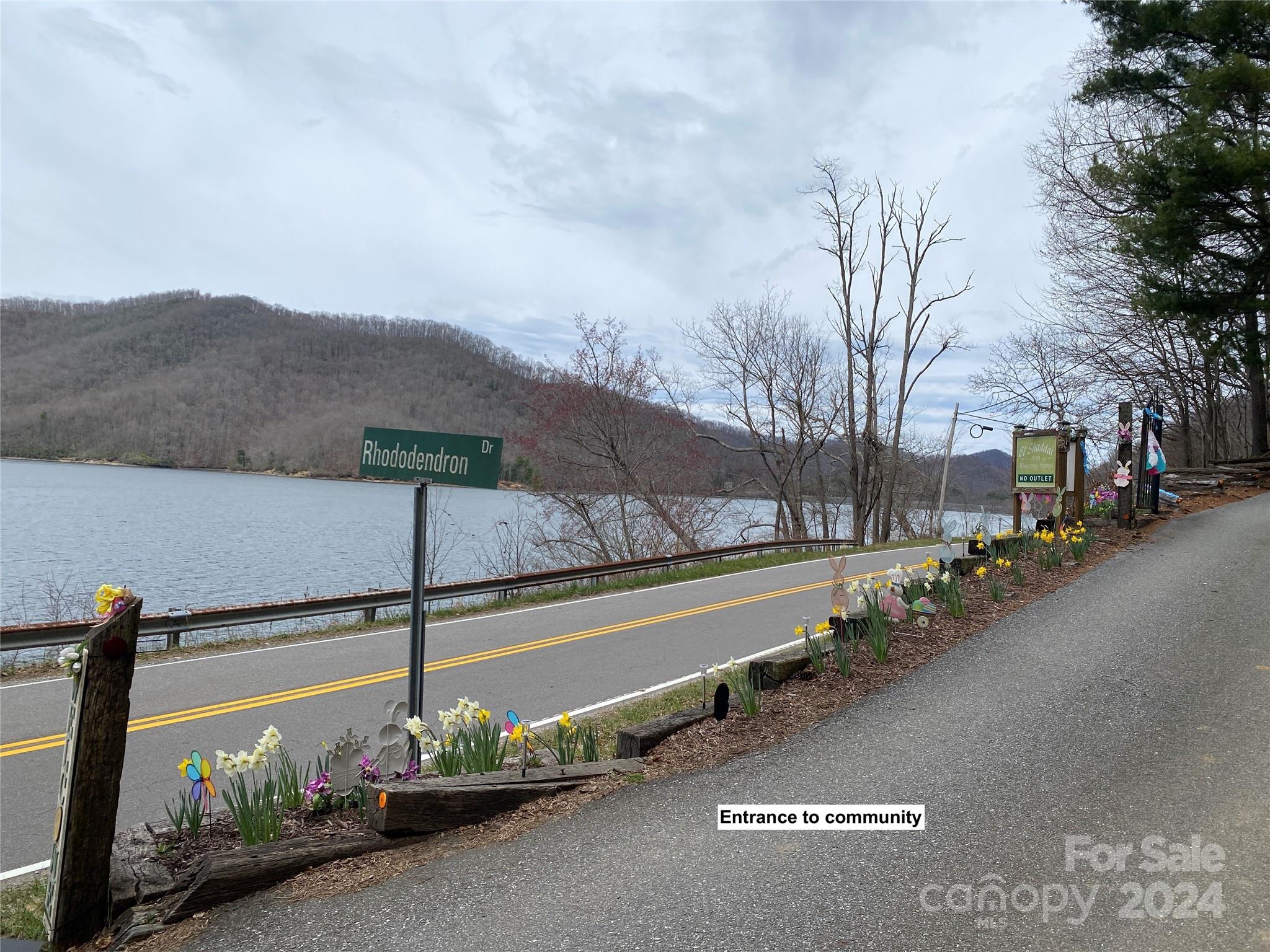 Lot 2 Lake Ridge Lane Topton, NC 28781 - Photo 4 of 10 Gallery Image 4