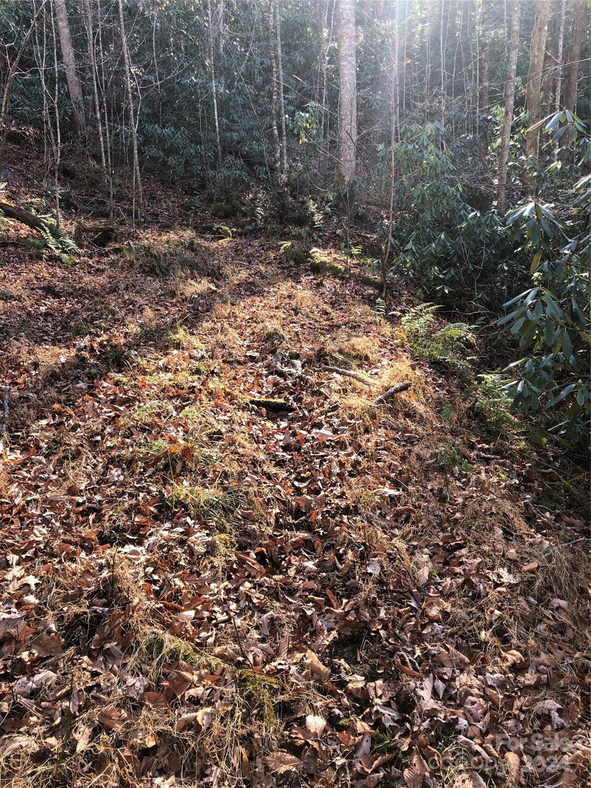 Lot 2 Lake Ridge Lane Topton, NC 28781 - Photo 8 of 10 Gallery Image 8