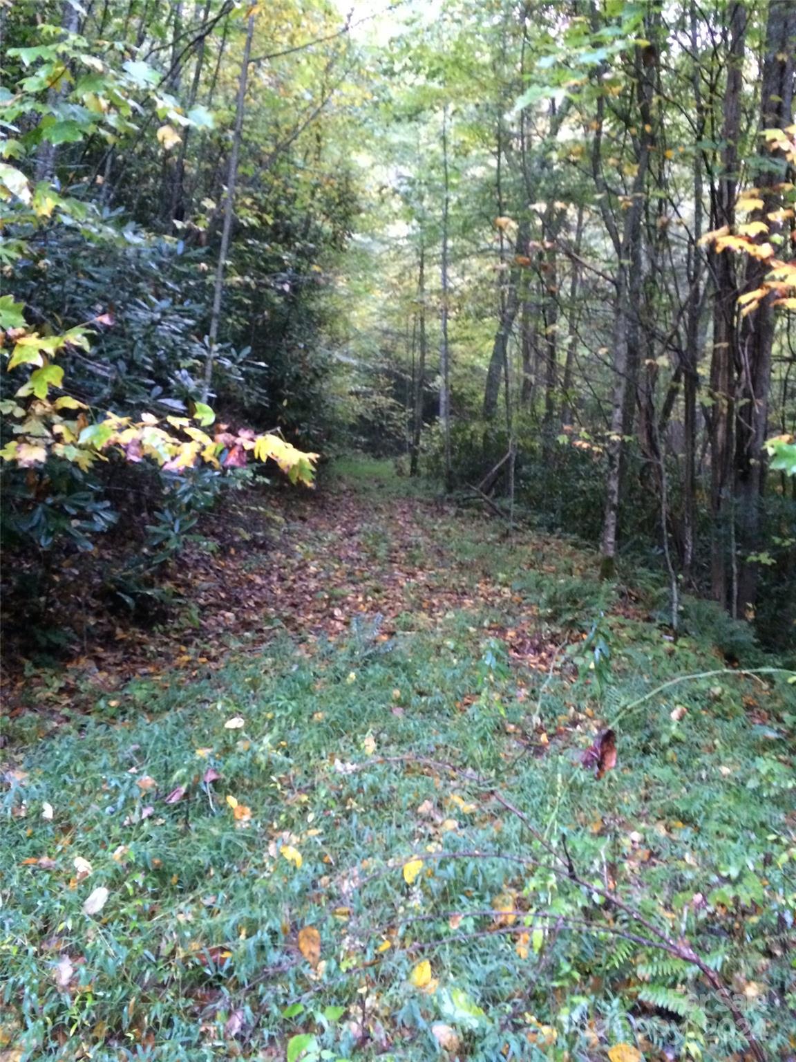 Lot 2 Lake Ridge Lane Topton, NC 28781 - Photo 10 of 10 Gallery Image 10