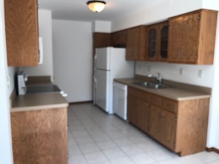 1010 Schoolgate Road, Unit 1010 New Lenox, IL 60451 - Photo 11 of 24