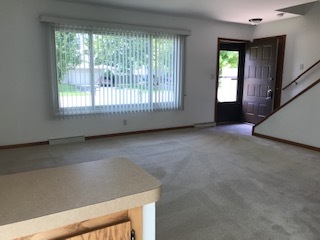 1010 Schoolgate Road, Unit 1010 New Lenox, IL 60451 - Photo 5 of 24