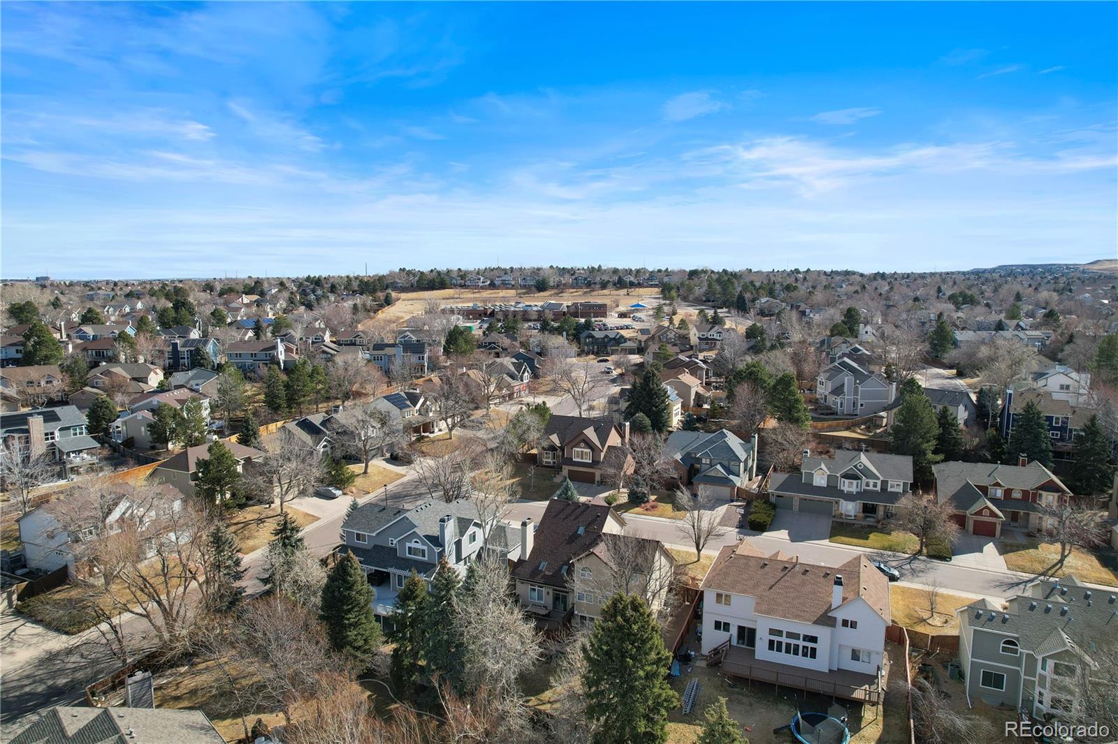 9366 Cornell Circle Highlands Ranch, CO 80130 - Photo 41 of 42